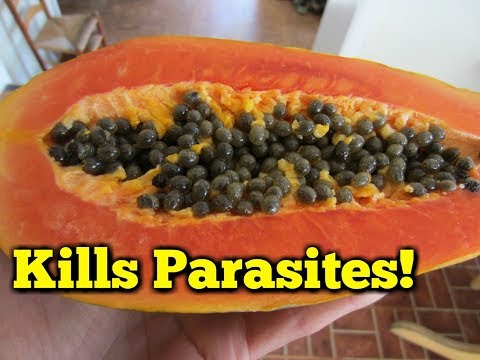 how to cure parasites