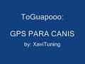 Toguapo - GPS PARA CANIS