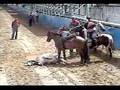 toros coleados guarico
