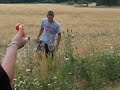 Snake in the grass!