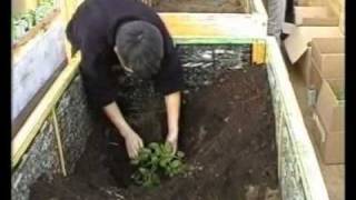 Выращивание культур в коробах