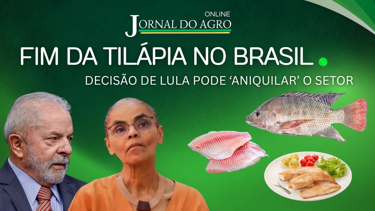 FIM DA TILÁPIA: DECISÃO DO GOVERNO LULA PODE ANIQUILAR GIGANTE BILIONÁRIO DA ECONOMIA BRASILEIRA