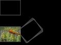 ??????????????