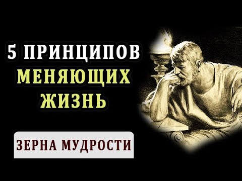 Видео Видео