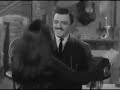 made this earlier in the year for another site - edited some clips of carolyn jones/ morticia addams from season one of the addams family and added a sixties garage soul track, the human beinz - dance on through
