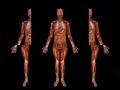 the grudge-tool (studio) the grudge-tool (studio)