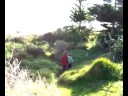 Boys. Kapiti.