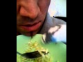 selcuk karademir süß Vogel ißt aus sein Teller (www.karabusta.de)