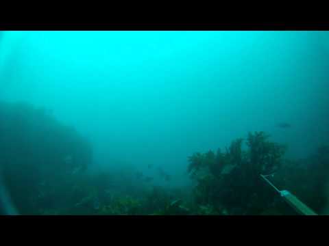 Sunken Rock, Makara