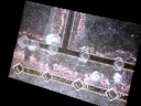 Electrophoresis Using Organic MEMS Chips part 2 Electrophoresis Using Organic MEMS Chips part 2