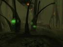 the-best-of-the-best-trailer.html