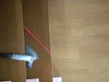 DSCF0341