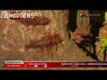 videos de Troops Capture Periyakulam. Wanni Operation 2 nd of December