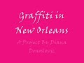 Graffiti Project - Diana Donoslovic