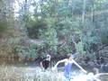 videos de Movie.wmv