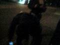 videos de Ein 