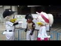 じゃれあうマーくん、リーンちゃん、B・B その2