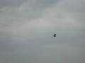 Andrews AFB Air Show '08 - F22