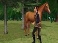 Short Video of ...