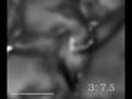 Hurricane-sized whirlpools filmed on the Sun