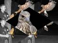 videos de fantasia