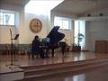 BOSWORTH PLAYS BIZET CARMEN VARIATIONS