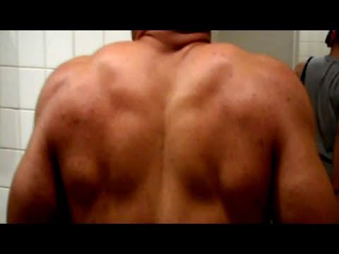 how to build back muscle