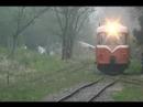 南部縦貫鉄道2008