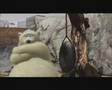 Polar Bears - The Egg