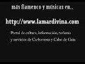 pescaito y su grupo  teatro casa de la música carboneras