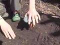 Path to Freedom - Water Wise Gardening