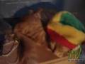 Reggae-Cat