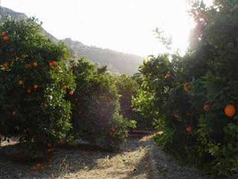 El Molino de Miguel