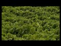 Un Jerez para Comérselo