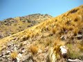 Ascenso al Uritorco