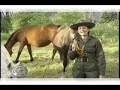 Policia de Colombia - Adiestramiento Equino Policia de Colombia - Adiestramiento Equino