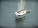 Fidalgo Bay Coffee - Escape