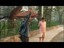 Treatment by Hos-Pice