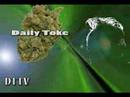 Daily Toke on a Sad Farewell Daily Toke on a Sad Farewell