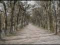 OS photographics Intro