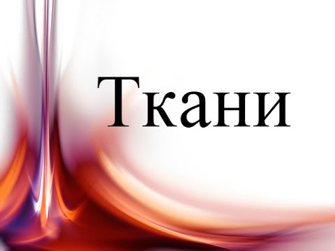 YouTube Трейлер