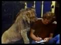 christian el león / Christian il Leone  / Christian the Lion - the full story (in HQ) / Кристиан Lion - подробнее / Christian der Löwe - die ganze Geschichte / Christian el León