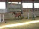 Freispringen Teil 3