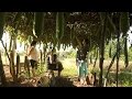 Elsa Zaldívar - Combine loofah and plastic waste to make low-cost housing