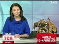 Видеоновость В Крыму откроют уникальный сафари-парк "Тайган"