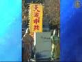 吴葆璋 :九评是民主中国的奠基石