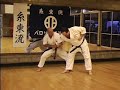 Seienchin Bunkai
