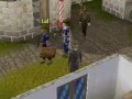 Robin Hood Hair Glitch