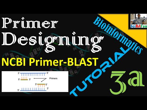 video-linktoworks-Primer Designing | Using NCBI Primer Blast || Tutorial...