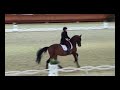 Gara Truppa realizzato da www.dothorse.it